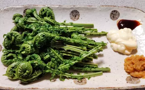 「もはや「野菜級に美味しい野草」3選　渓流釣りついでにゲットしよう！」の画像
