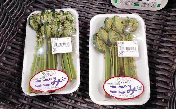 もはや「野菜級に美味しい野草」3選　渓流釣りついでにゲットしよう！