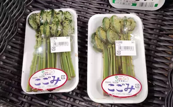 「もはや「野菜級に美味しい野草」3選　渓流釣りついでにゲットしよう！」の画像