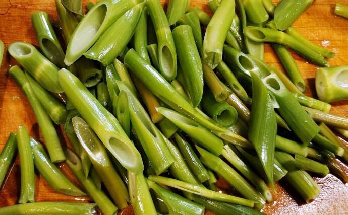 もはや「野菜級に美味しい野草」3選　渓流釣りついでにゲットしよう！