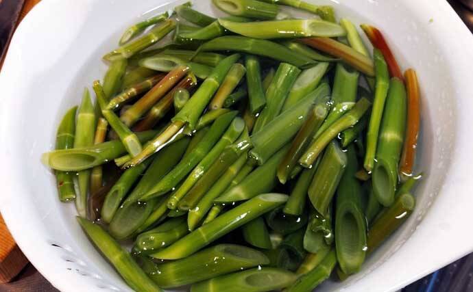 もはや「野菜級に美味しい野草」3選　渓流釣りついでにゲットしよう！