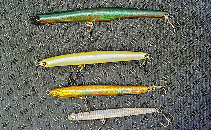 クルクルバチが出現した河川で50cm級クロダイを手中【千葉】本命シーバスは不発