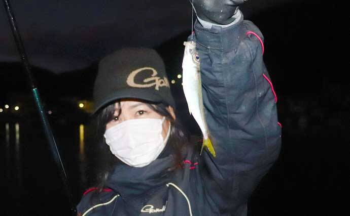ノベザオで楽しむ アジ一本釣り のススメ 独特過ぎる釣り味とは 22年1月12日 エキサイトニュース
