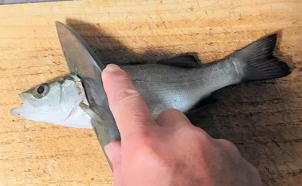 「釣魚で作る「ビールのつまみ」レシピ：セイゴの青じそ揚げ　打ち粉で脂はね防止」の画像