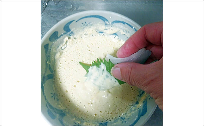 釣魚で作る「ビールのつまみ」レシピ：セイゴの青じそ揚げ　打ち粉で脂はね防止