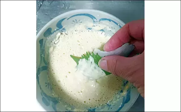 「釣魚で作る「ビールのつまみ」レシピ：セイゴの青じそ揚げ　打ち粉で脂はね防止」の画像