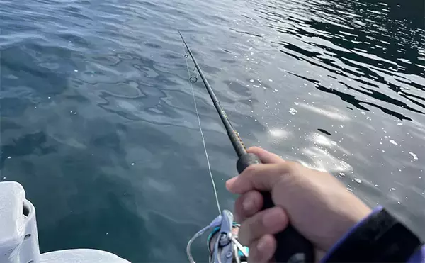 「「ボート釣りは自由が最高！」ティップランエギング・タイラバ・ジギングで多彩釣果【愛知】」の画像