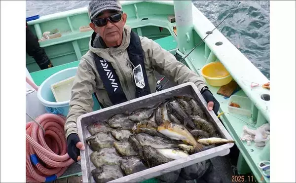 「【沖釣り釣果速報】マダイがズラ〜ッと整列！テンヤマダイ釣りで爆釣モード突入（愛知）」の画像