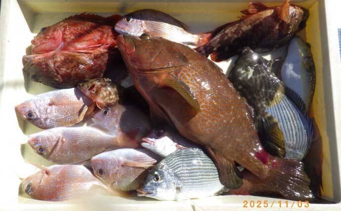 【沖釣り釣果速報】マダイがズラ〜ッと整列！テンヤマダイ釣りで爆釣モード突入（愛知）