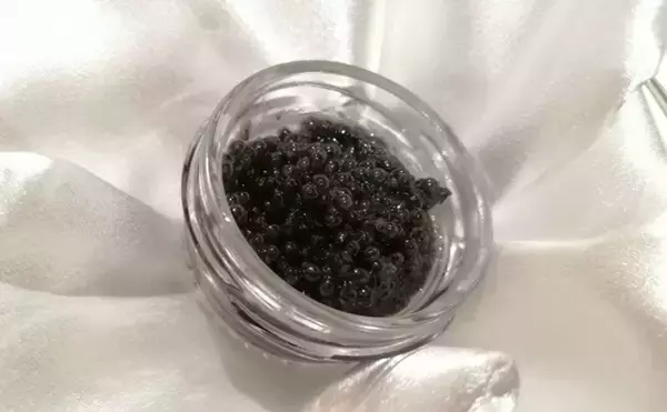 「チョウザメはキャビアだけじゃなかった？　刺身は旨味十分で美容にも良し！」の画像