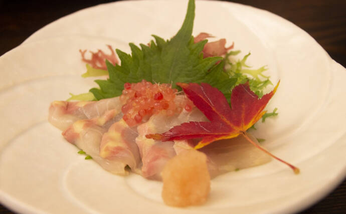 チョウザメはキャビアだけじゃなかった？　刺身は旨味十分で美容にも良し！