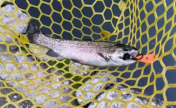 「千早川マス釣り場でのエリアトラウト釣行【大阪】表層からボトムまでレンジ攻略に苦戦」の画像