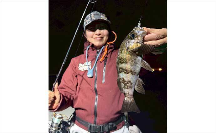 東京湾のボートメバリング釣行で20cm級メバル登場！カサゴも好反応