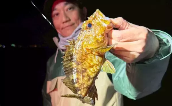 「東京湾のボートメバリング釣行で20cm級メバル登場！カサゴも好反応」の画像