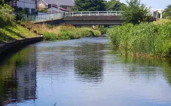 「埼玉県で子供と一緒に清流エサ釣り満喫　婚姻色に染まる美しい魚と対面」の画像