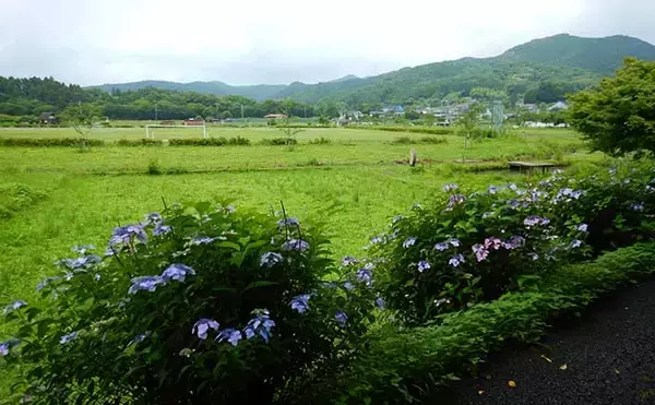 「埼玉県で子供と一緒に清流エサ釣り満喫　婚姻色に染まる美しい魚と対面」の画像