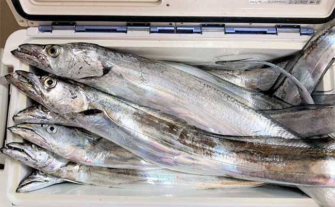 博多湾テンヤタチウオ釣りで大型乱舞　120cm級頭に船中100尾超え