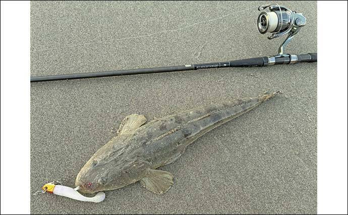 サーフルアーフィッシングで55cm良型マゴチをキャッチ【豊橋】地形読み＆ルアーローテが決め手