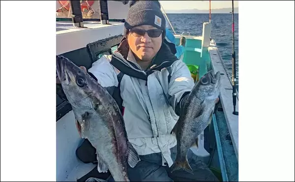 「相模湾のライト中深場釣りでクロムツ好調【神奈川】トップ10尾で船中オデコなし」の画像