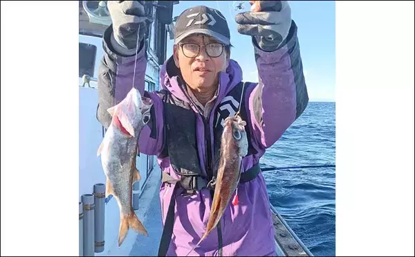 「相模湾のライト中深場釣りでクロムツ好調【神奈川】トップ10尾で船中オデコなし」の画像