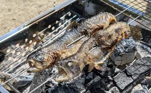 「デイキャンプ＆エリアトラウト釣行で娘と休日を満喫【岐阜】釣ったニジマスの塩焼きに舌鼓」の画像