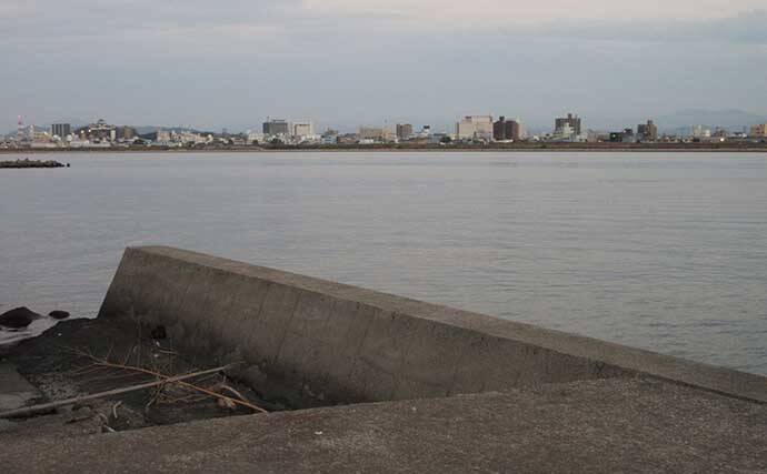 晩秋の和歌山で落ちギスを追う　北塩屋海岸＆紀の川河口で良型交え好調