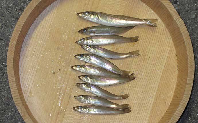 晩秋の和歌山で落ちギスを追う　北塩屋海岸＆紀の川河口で良型交え好調