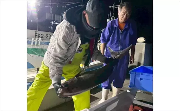 「浦島グリのメダイ釣りで11.6kgの大型降臨！【福井】本命16匹＆マダイ15匹と大漁」の画像