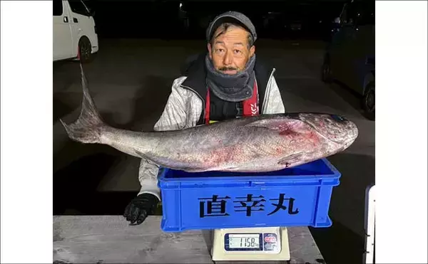 「浦島グリのメダイ釣りで11.6kgの大型降臨！【福井】本命16匹＆マダイ15匹と大漁」の画像