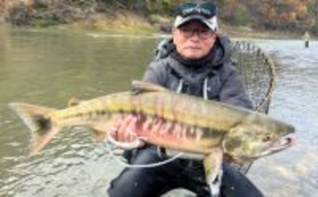 鮭川の鮭有効利用調査で良型73cm4.6kg浮上！【山形】仲間は念願の初サケを手に