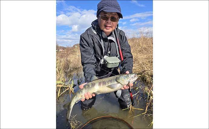 鮭川の鮭有効利用調査で良型73cm4.6kg浮上！【山形】仲間は念願の初サケを手に