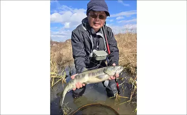 「鮭川の鮭有効利用調査で良型73cm4.6kg浮上！【山形】仲間は念願の初サケを手に」の画像