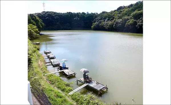 「今週のヘラブナ推薦釣り場2025【静岡・西の谷池】」の画像