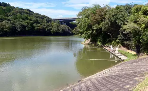 「今週のヘラブナ推薦釣り場2025【静岡・西の谷池】」の画像