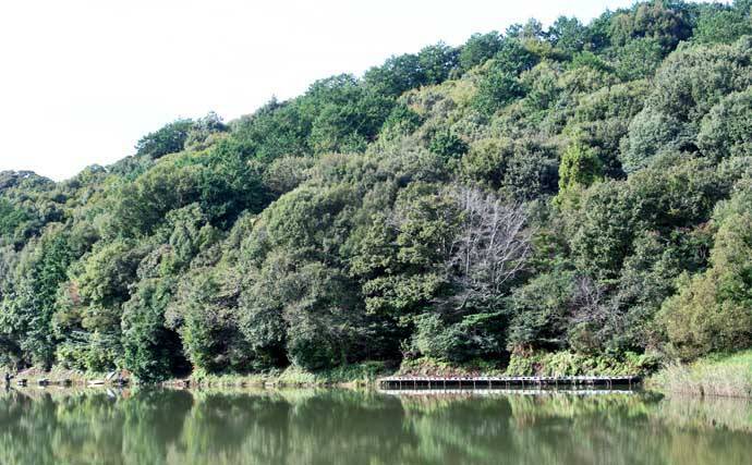 今週のヘラブナ推薦釣り場2025【静岡・西の谷池】