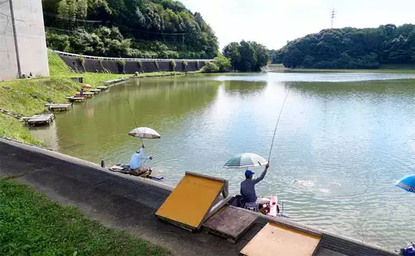 「今週のヘラブナ推薦釣り場2025【静岡・西の谷池】」の画像