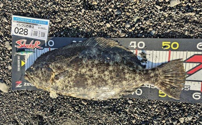 「ルアーロスト3連発から逆転！」三保海岸サーフゲームでヒラメ55cmをキャッチ【静岡】