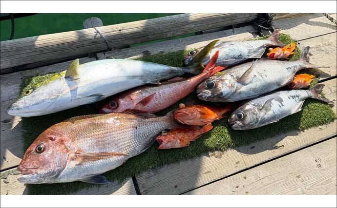 【沖のルアー釣果速報】タイラバで70cm超メダイ手中！良型マダイ＆アマダイ15匹と好釣果（三重）