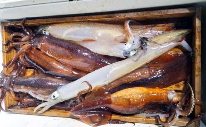 【沖のルアー釣果速報】タイラバで70cm超メダイ手中！良型マダイ＆アマダイ15匹と好釣果（三重）