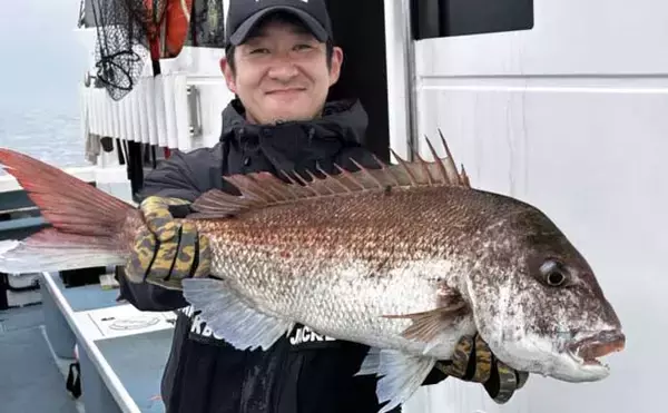 「ナイトタイラバゲームで80cm超えマダイ登場！【タイラバ釣果速報9選・福岡】」の画像