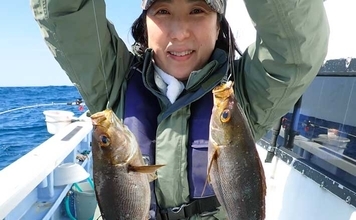 千葉・大原沖のイサキ釣り速報【春日丸】好ゲスト混じりに35cm級デカイサキが連発！