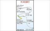 「堤防ちょい投げ釣りで23cm良型キスが登場！【天草・熊本】ゲストにグチも顔見せ」の画像2