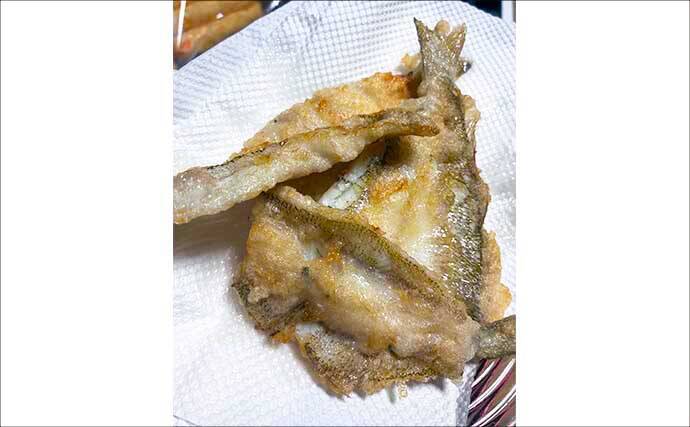堤防ちょい投げ釣りで23cm良型キスが登場！【天草・熊本】ゲストにグチも顔見せ