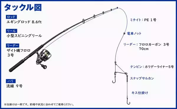 「投げ釣り釣果レポート：根掛かり多発ポイントで24cm良型キス好捕【串漁港・熊本】」の画像