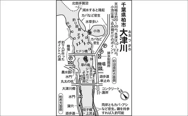 「今週のヘラブナ推薦釣り場2025【千葉県・大津川】」の画像