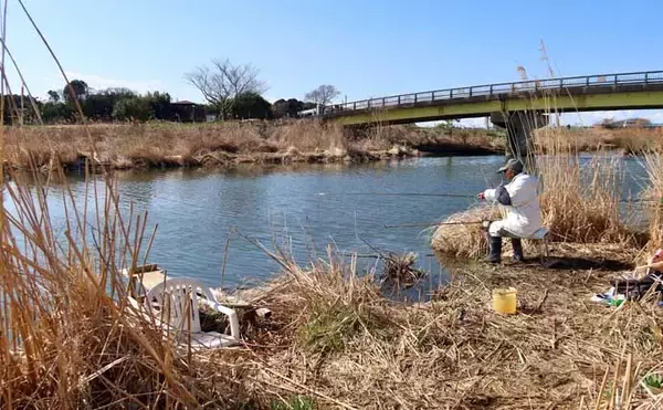 「今週のヘラブナ推薦釣り場2025【千葉県・大津川】」の画像