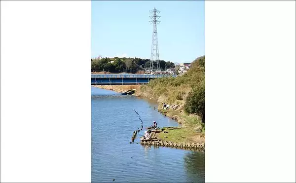 「今週のヘラブナ推薦釣り場2025【千葉県・大津川】」の画像