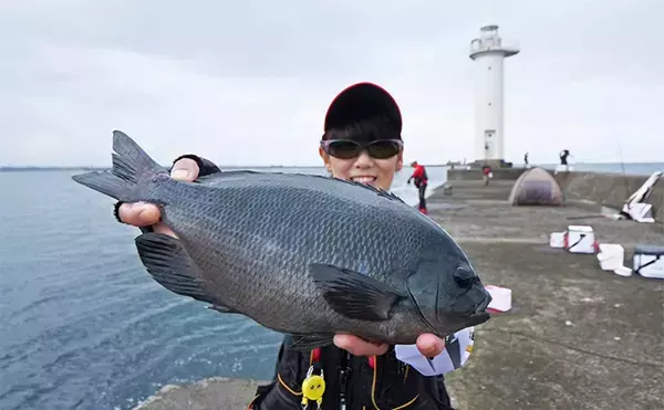 「波止フカセ釣り講座に参加してみた【大分】チヌに良型クロにマダイと多彩釣果に笑顔」の画像