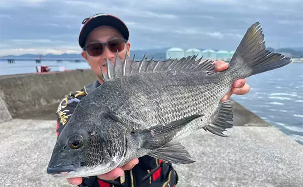 「波止フカセ釣り講座に参加してみた【大分】チヌに良型クロにマダイと多彩釣果に笑顔」の画像