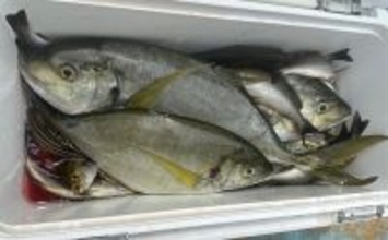 船シマアジ釣り名手のタックル詳細を公開　竿の素材3種類を使い分ける理由とは？